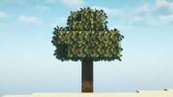 xali's Bushy Leaves also adds more detail to leaf blocks. (Image via Sportskeeda Gaming || Mojang Studios)